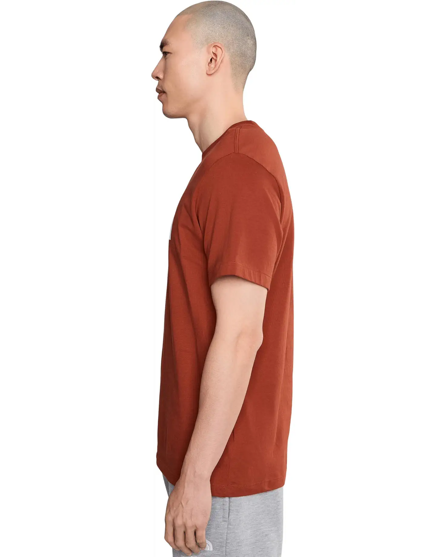 The North Face - Short Sleeve Evolution Half Dome Tee - Men's - Iron Clay