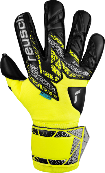 Reusch Attrakt Duo Evolution Goalkeeper Glove
