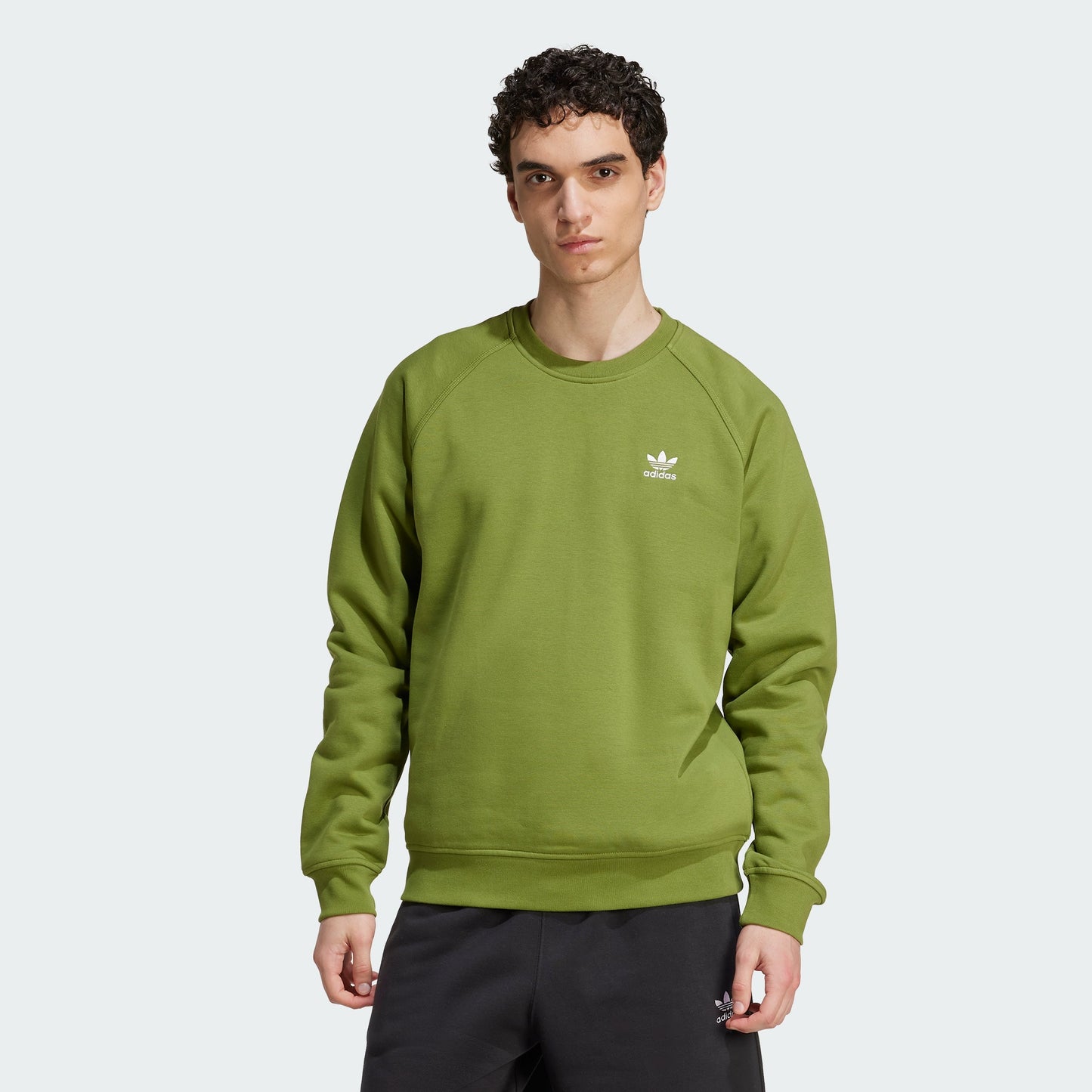 Men's adidas Trefoil Essentials Crew Sweatshirt